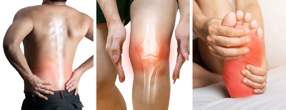 Hondrolife Joint Treatment