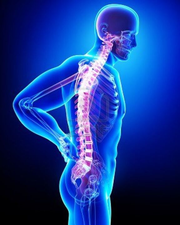 The human spine is affected by osteochondrosis